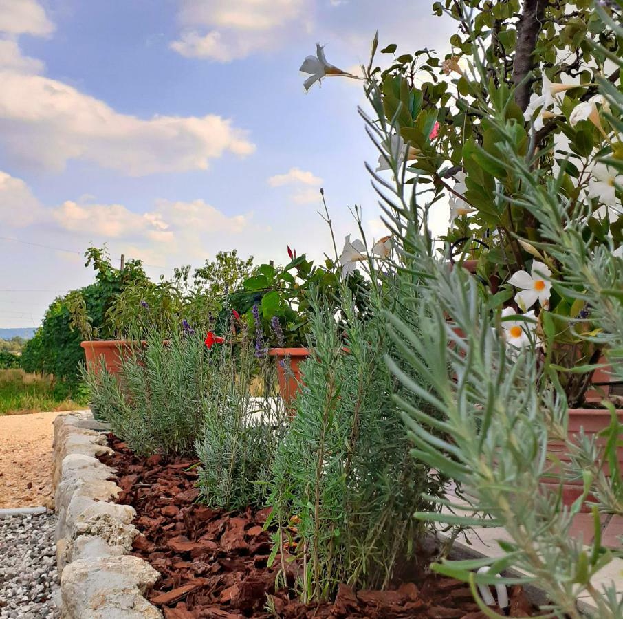 Le Vigne Di Annalisa Sweet Relax Rooms In Unesco Prosecco D.O.C.G. Farra di Soligo Exterior photo